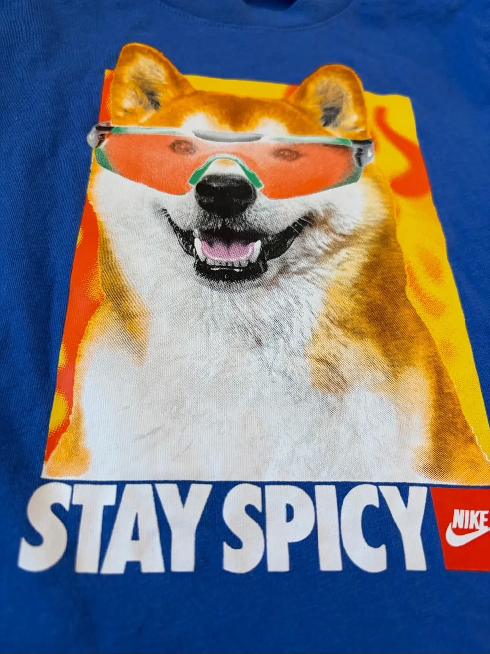 Nike Boys Stay Spicy Dog Graphic T-Shirt Blue- XS 4